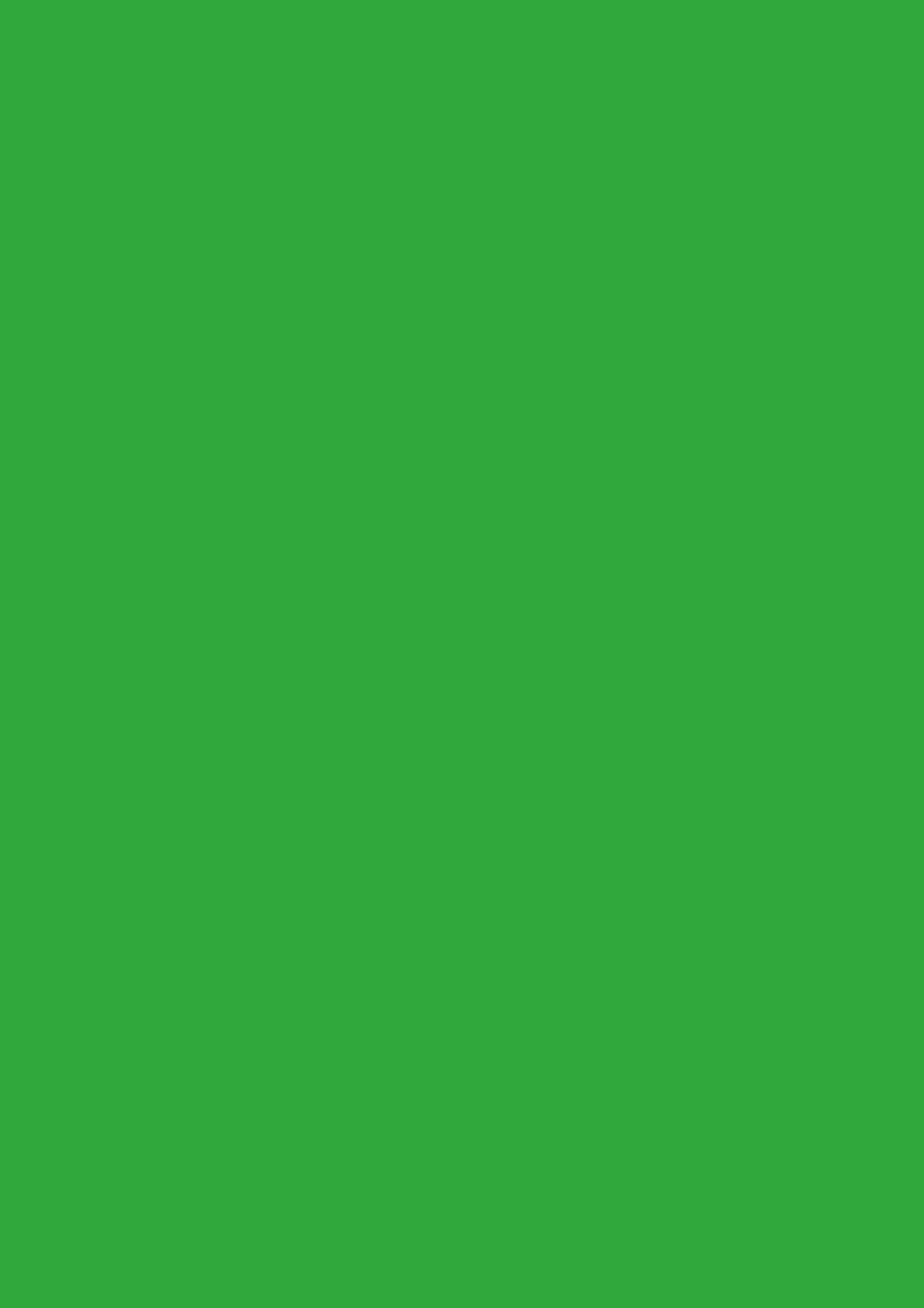 БСП  Зелёный май ST9, 2800*1310*0,8мм