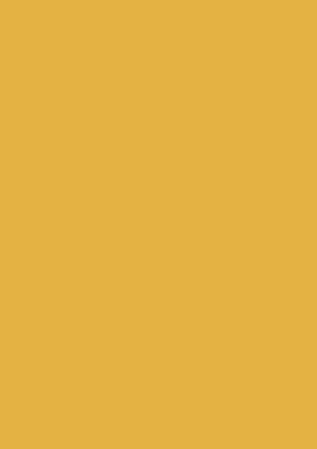 ЛДСП  Карри жёлтый ST9, 2800*2070*10мм