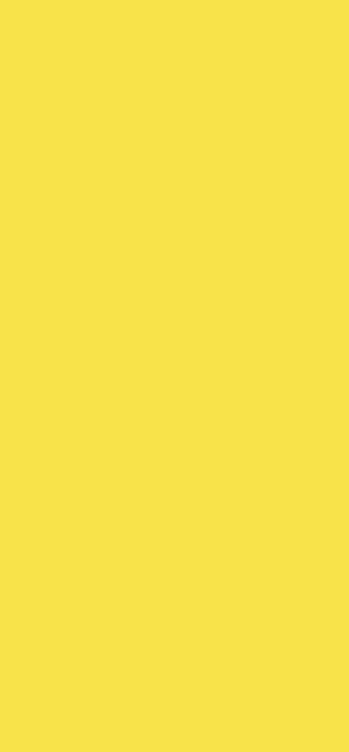 Кромка  Цитрусовый жёлтый ST9, 0,4*19мм (200м)