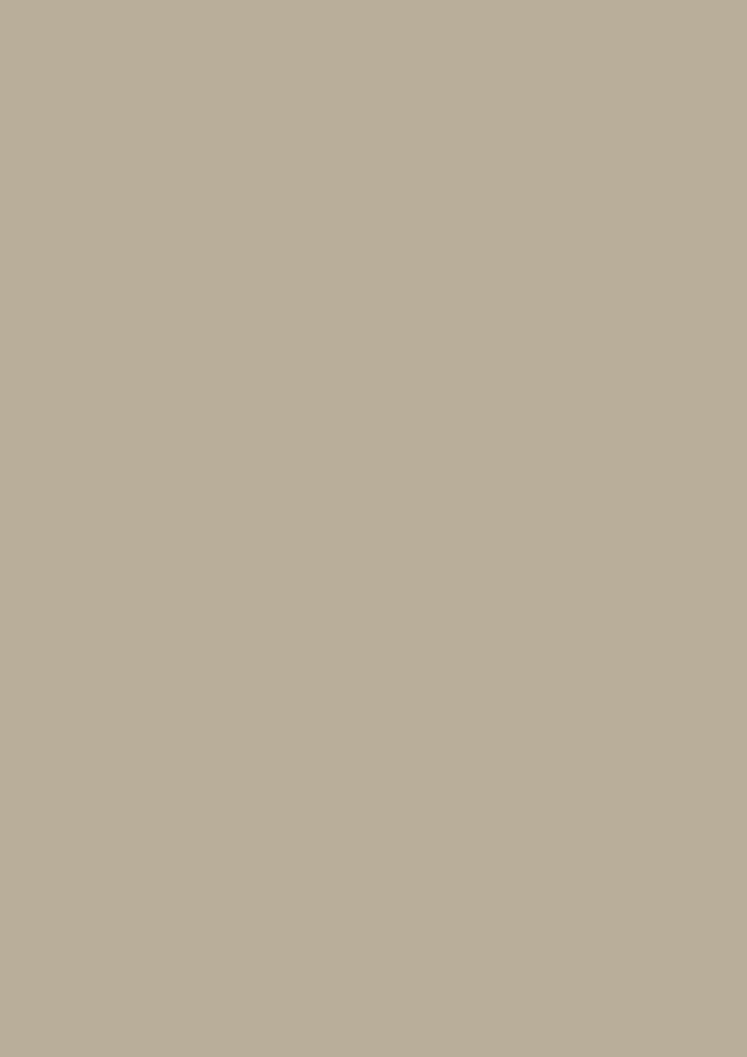 ЛДСП влагостойкая Дакар серый ST9, 2800*2070*16мм
