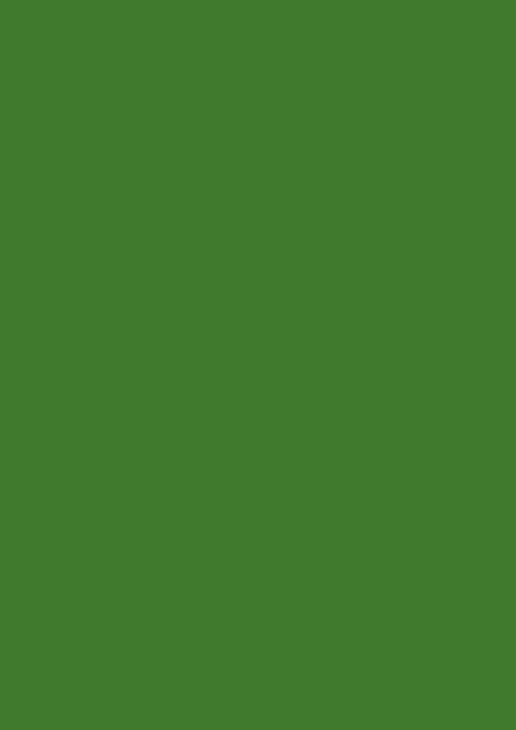 ЛДСП  Папортник зелёный ST9, 2800*2070*16мм