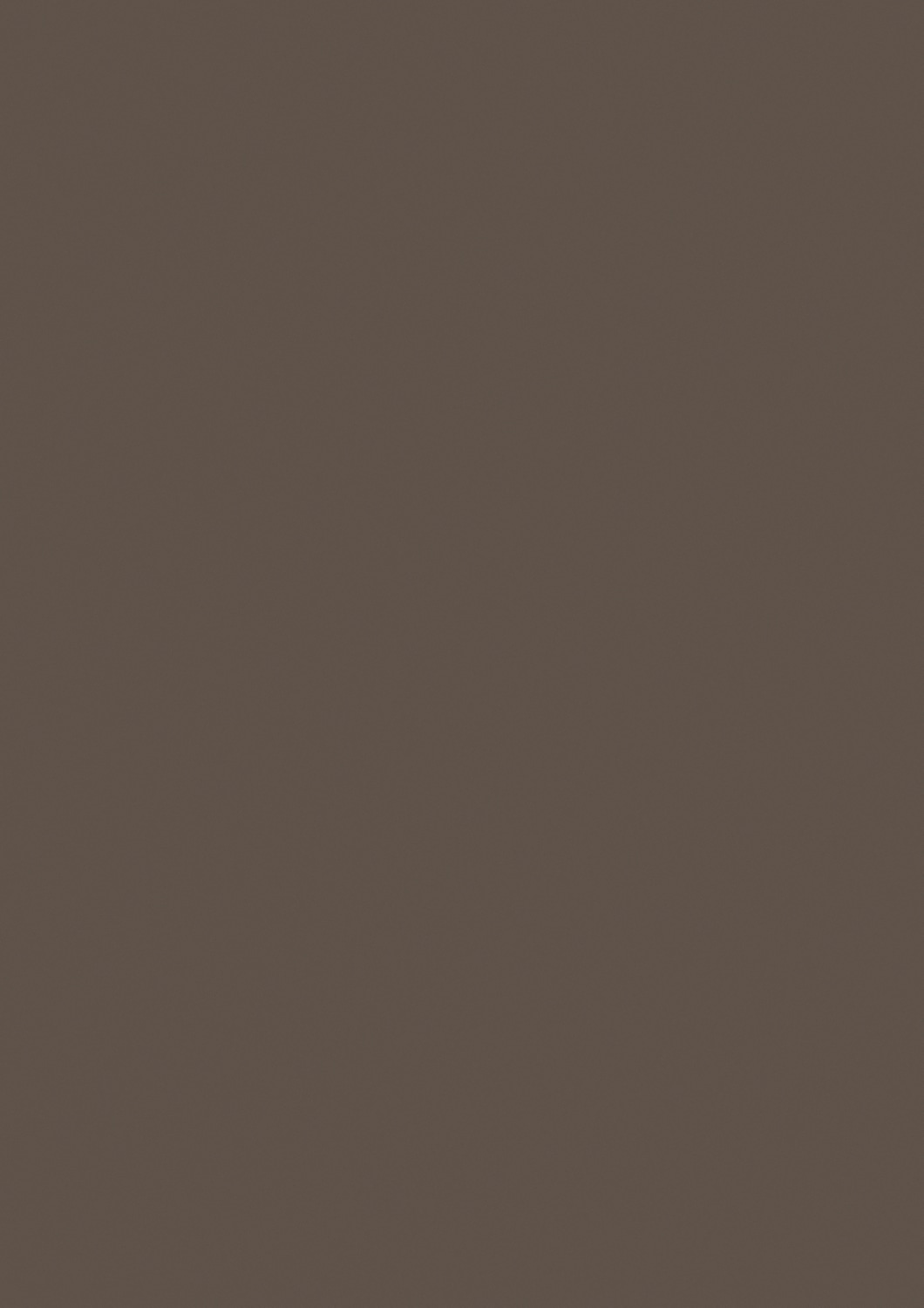 ЛДСП влагостойкая Трюфель коричневый ST9, 2800*2070*16мм