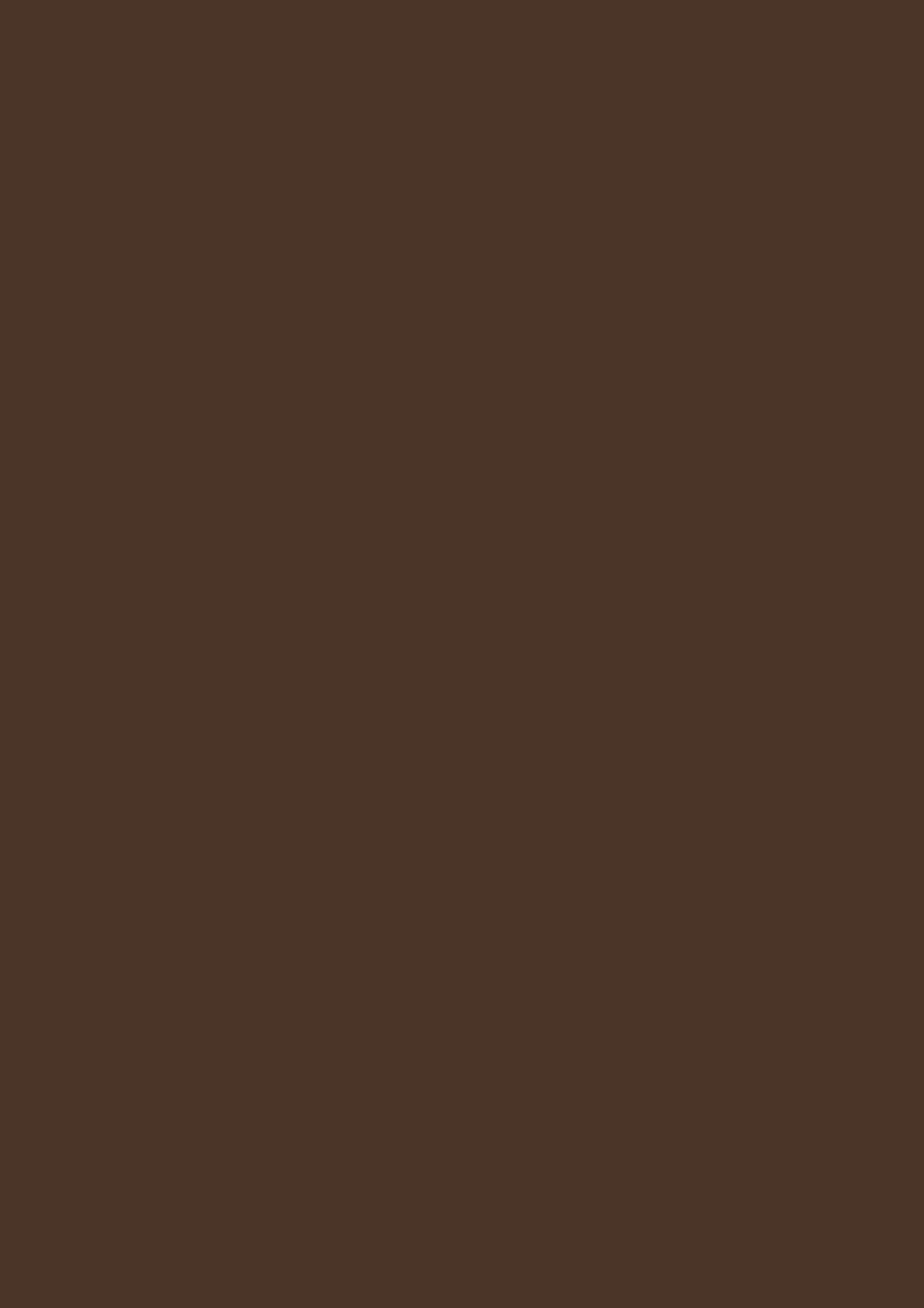 ЛДСП  Тёмно-коричневый ST9, 2800*2070*10мм