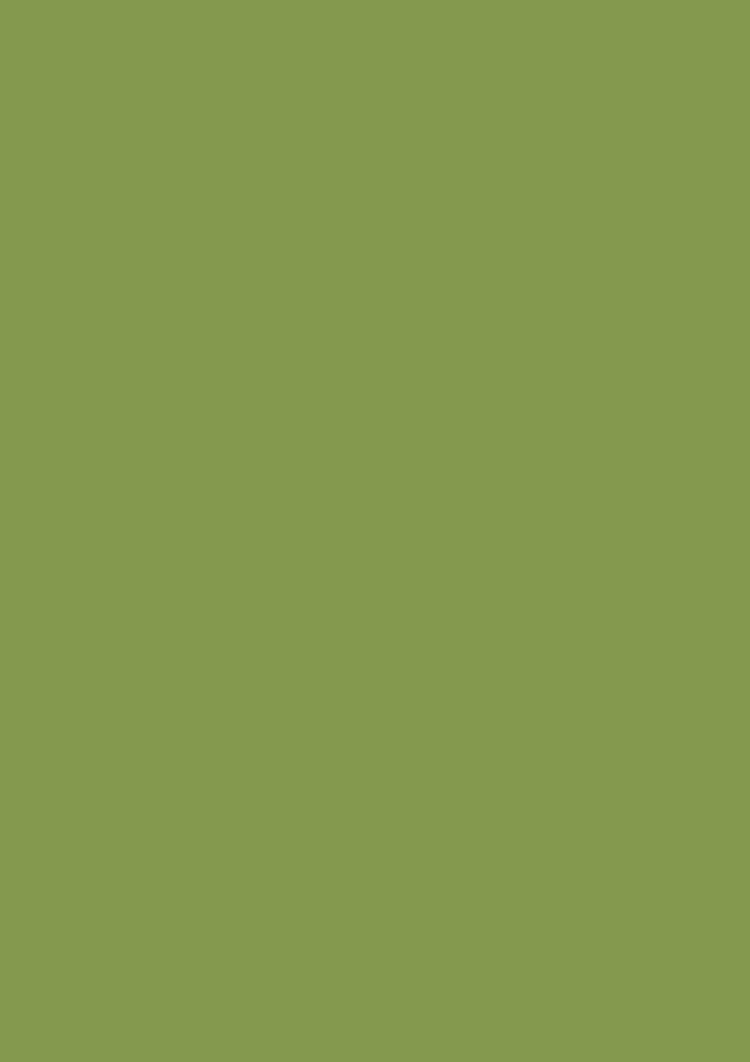 ЛДСП влагостойкая Зелёный киви ST9, 2800*2070*16мм