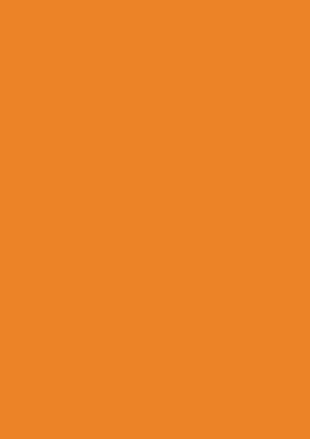 ЛДСП влагостойкая Оранжевый ST9, 2800*2070*16мм