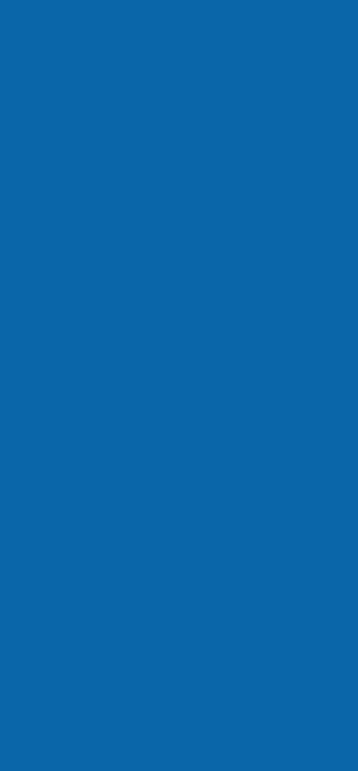 Кромка  Делфт голубой ST9, 2*35мм (75м)