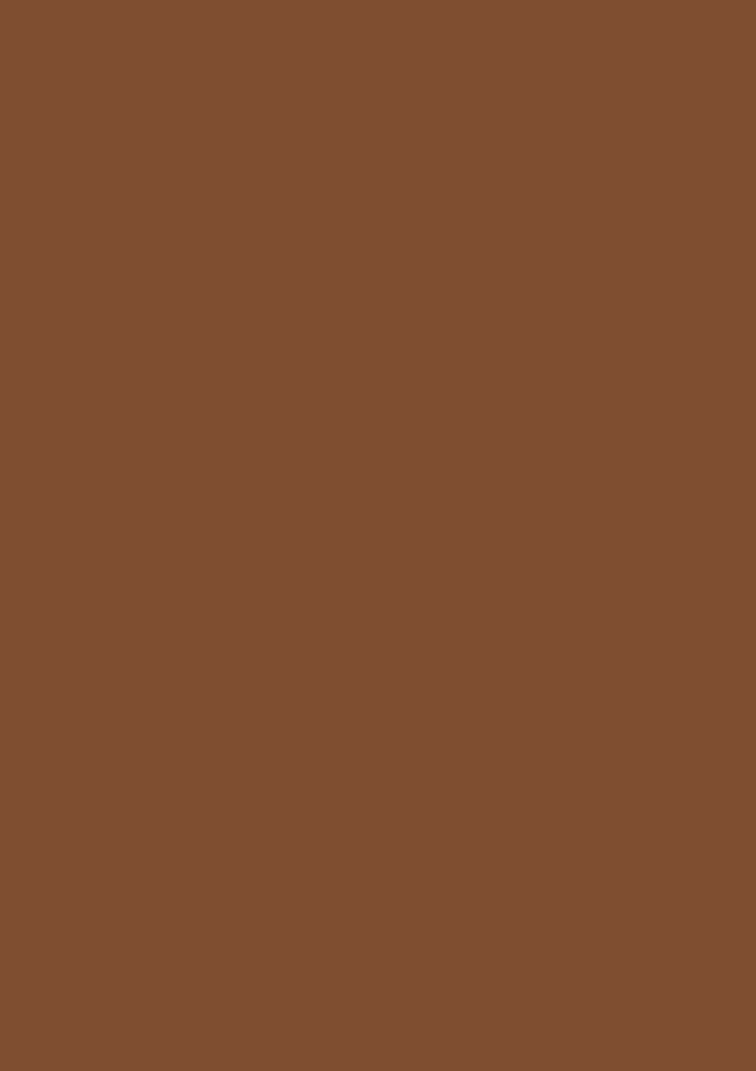 БСП  Нуга коричневый ST9, 2800*1310*0,8мм